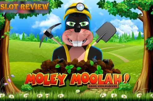 Moley Moolah Slot Review